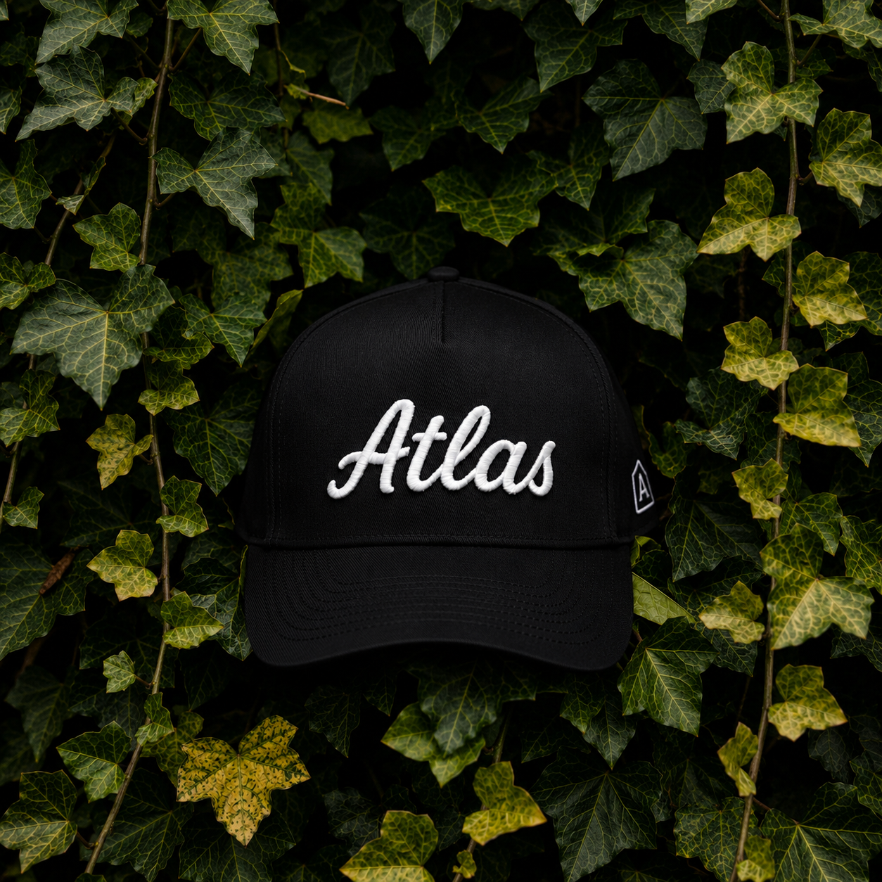 Championship Issue – Atlas Hat Co. Championship Issue – Atlas Hat Co.