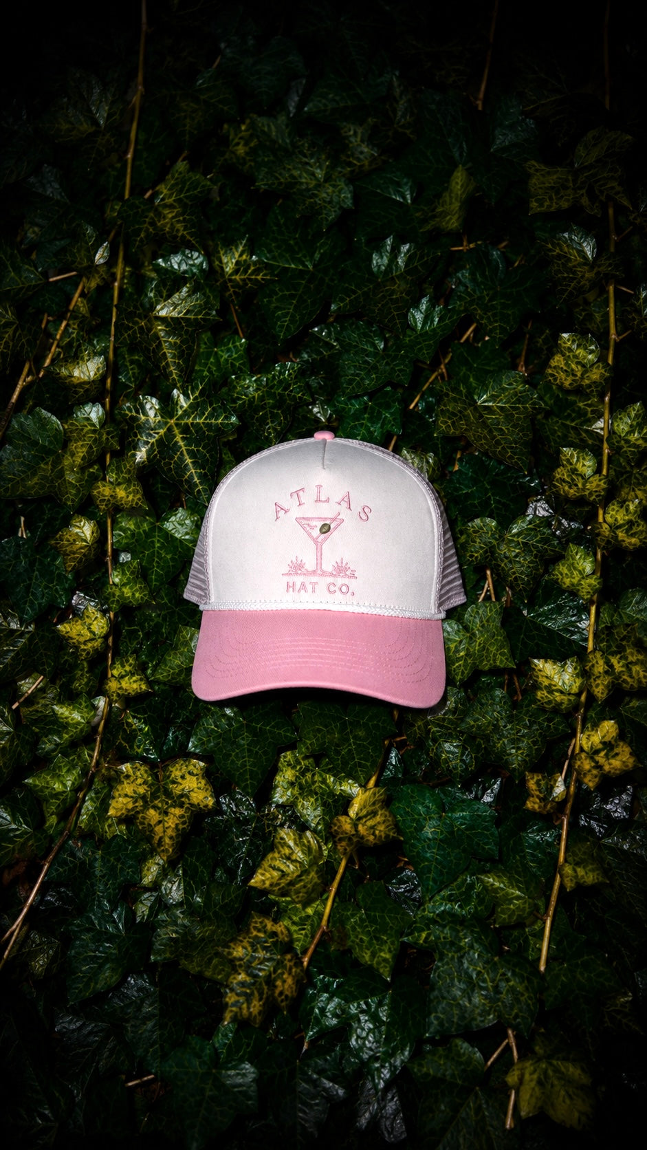 Blush