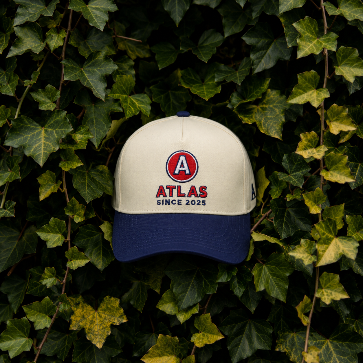 Atlas All-Star Emblem Cap